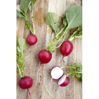 Radishes Punnet