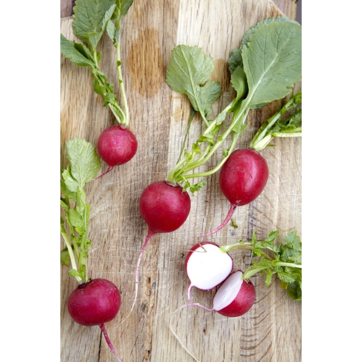 Radishes Punnet