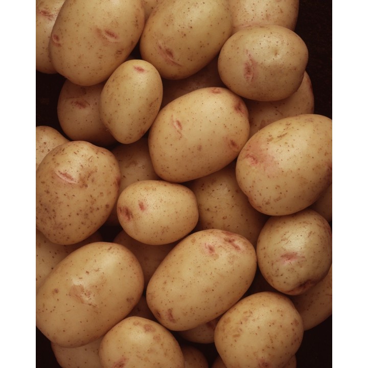 Potatoes