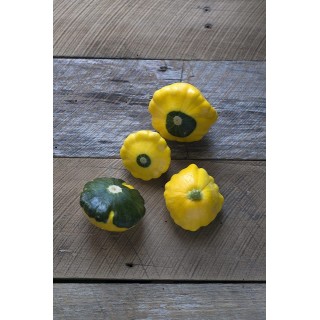 Patty Pans