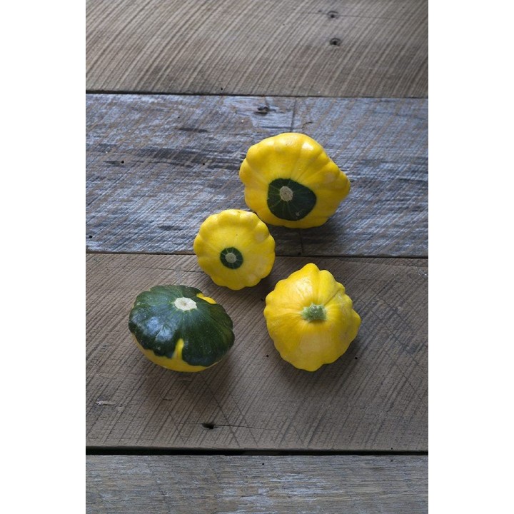 Patty Pans