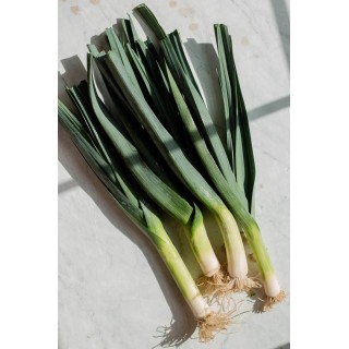 Leeks Bunch