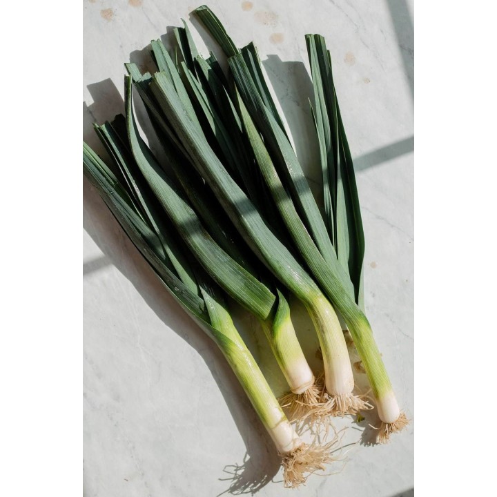 Leeks Bunch