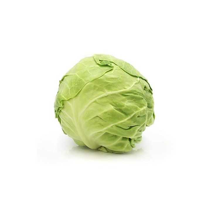 Cabbage