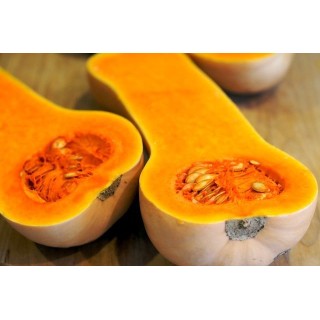 Butternut
