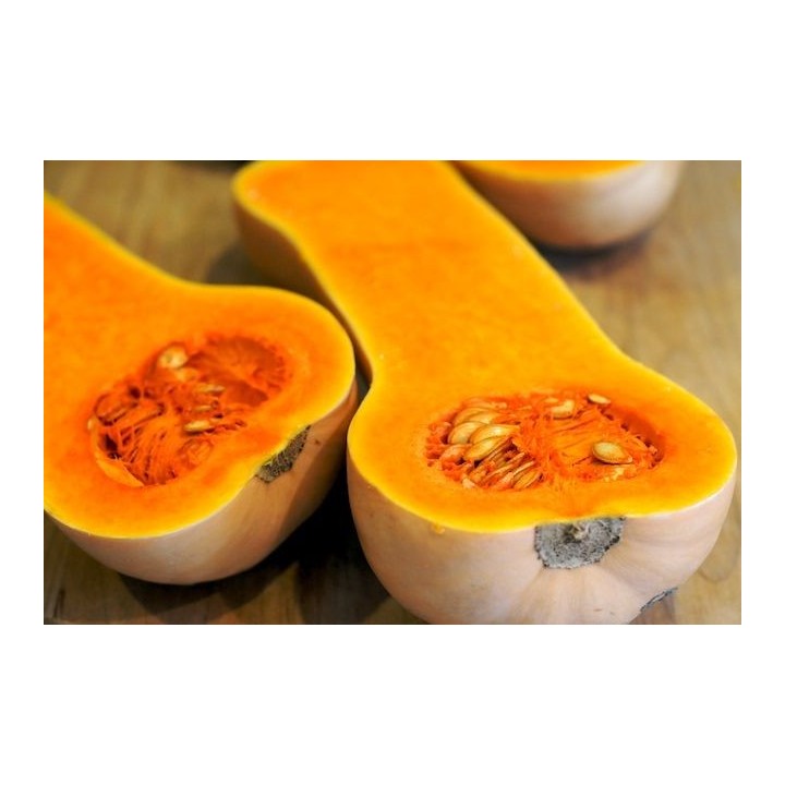 Butternut