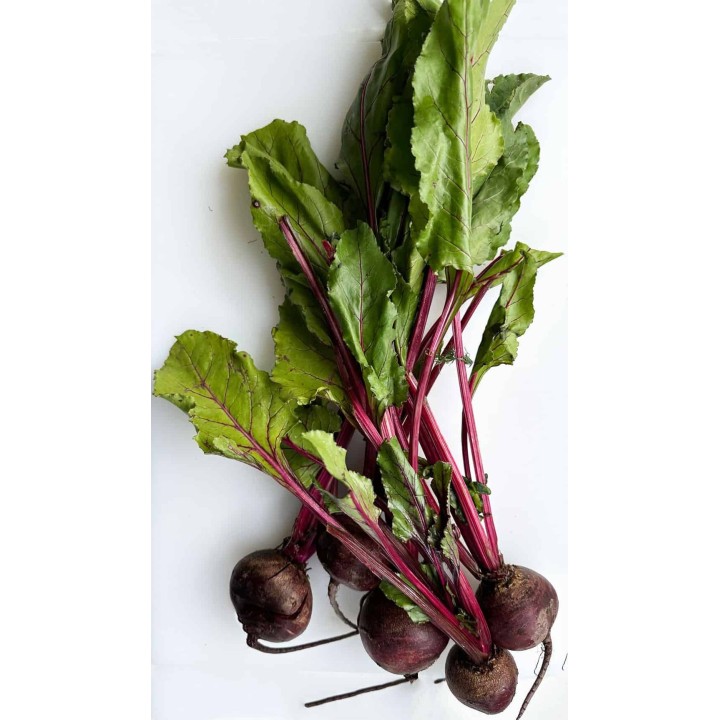 Beetroot Bunch