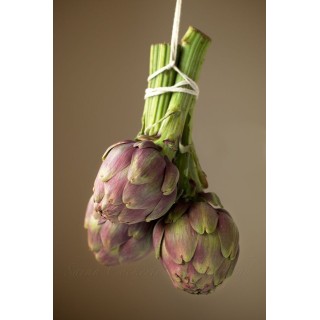 Artichokes