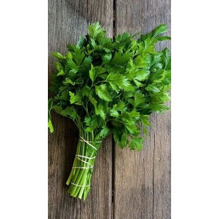 Parsley Punnet (Italian/Curly)