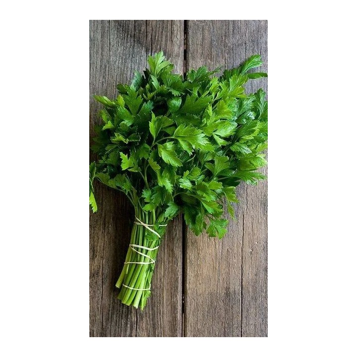 Parsley Punnet (Italian/Curly)