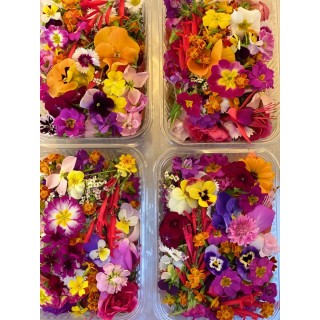 Edible Flowers