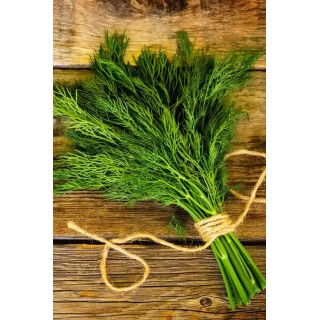 Dill Punnet
