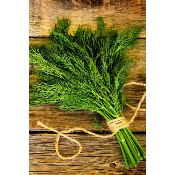 Dill Punnet