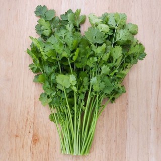 Coriander Punnet