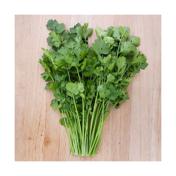Coriander Punnet