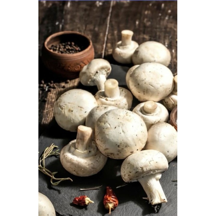 White Denny Mushroom