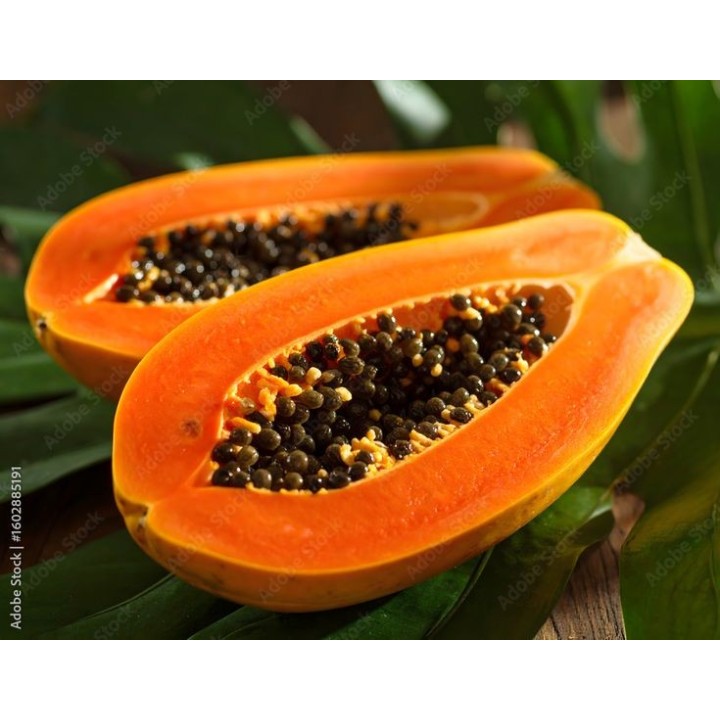 Paw Paw (Papaya)