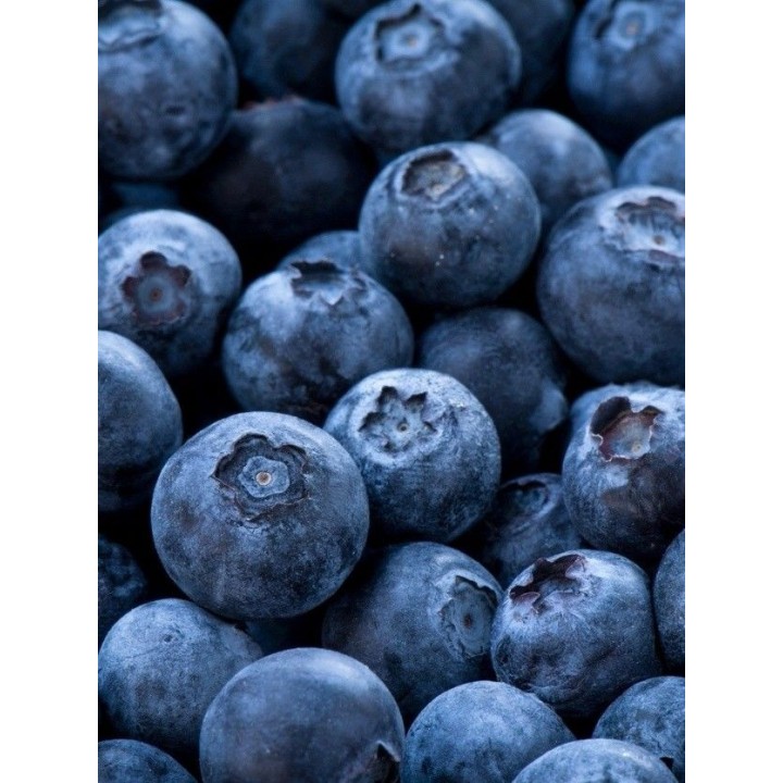 Blueberries