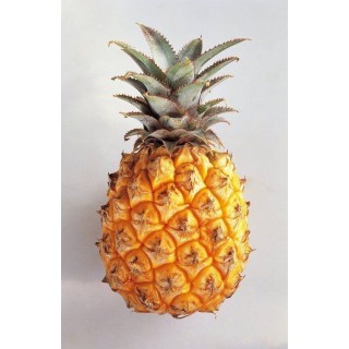Pineapples