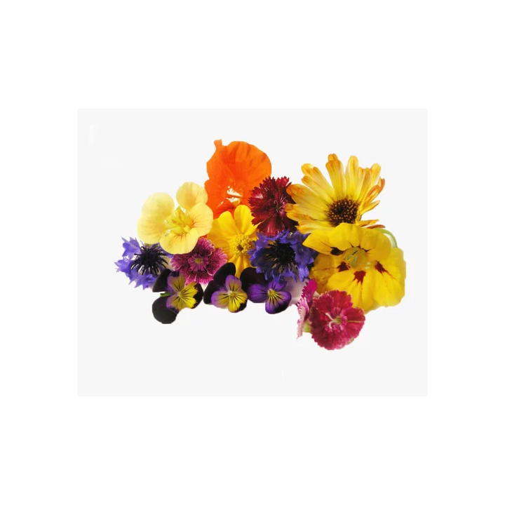 Edible Flowers