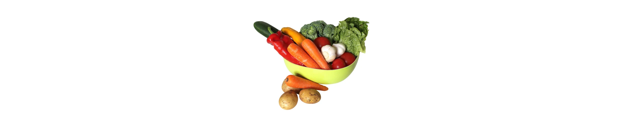 Fresh Vegetables | LandinoFarmining
