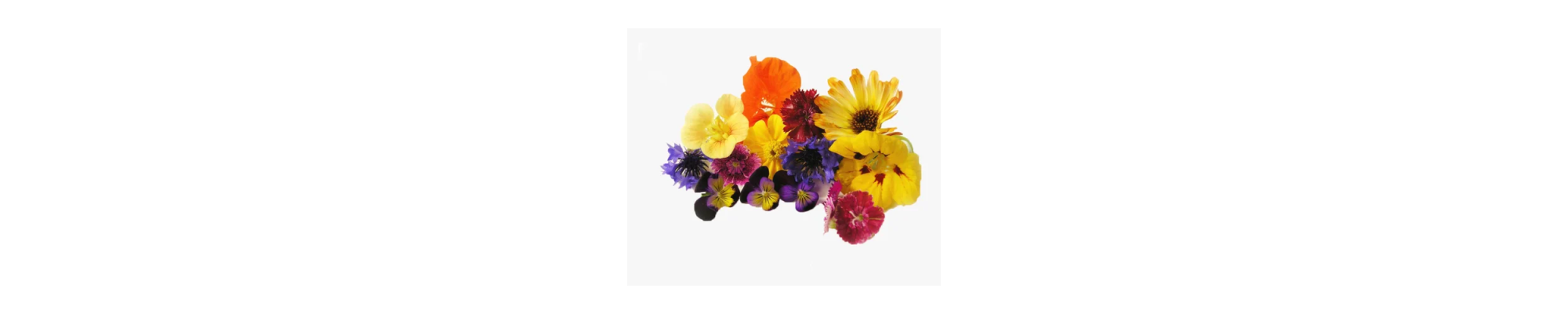 Garnish